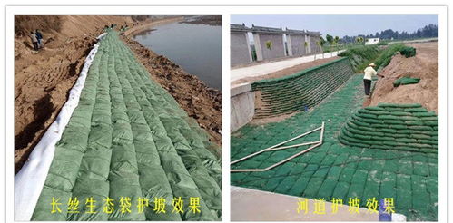 携手绿色未来 广西柳州丙纶生态袋生产厂家引领新型环保建材新风尚